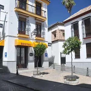 Almanzor Cordoba